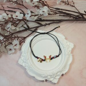 ΤΑΡΑΝΔΑΚΙ 26