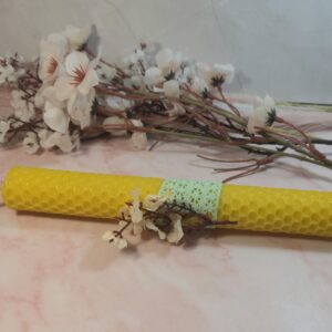 ΛΑΜΠΑΔΑ ΚΗΡΗΘΡΑ 206